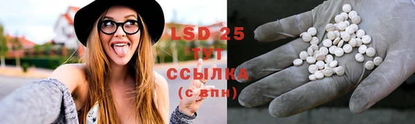 ECSTASY Костерёво