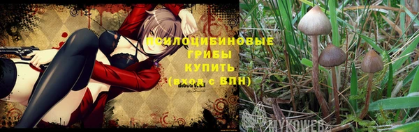 спиды Кодинск
