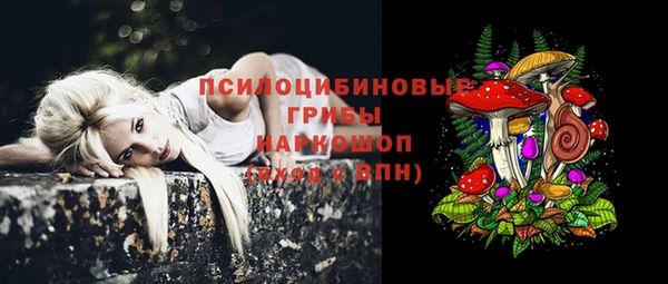 спиды Кодинск
