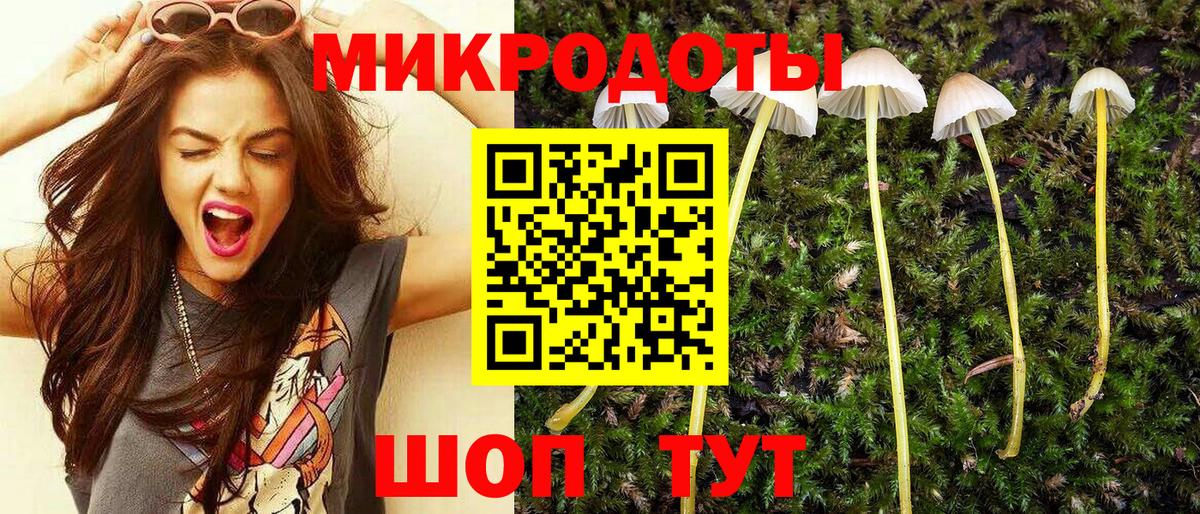 Псилоцибиновые грибы GOLDEN TEACHER Кольчугино