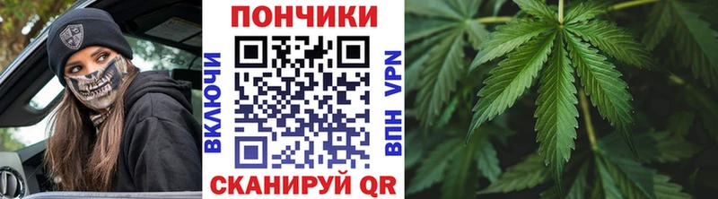 Каннабис OG Kush купить сайты Кольчугино